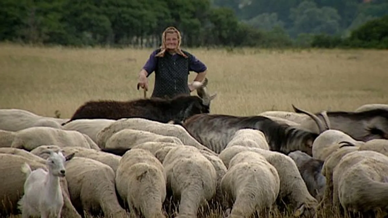Juhászati mintagazdaság – Soroló