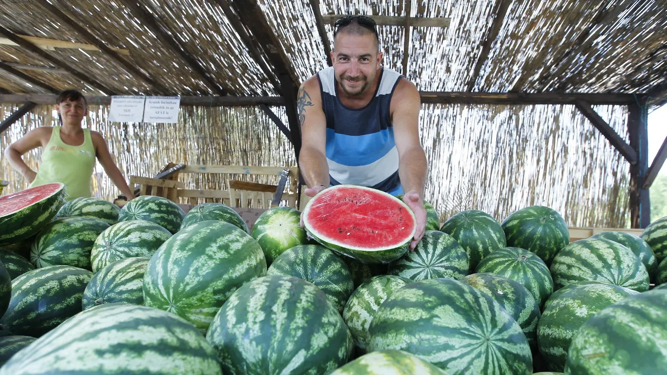 Hiába a nyomott ár, az idén nem tüntetnek a dinnyetermelők