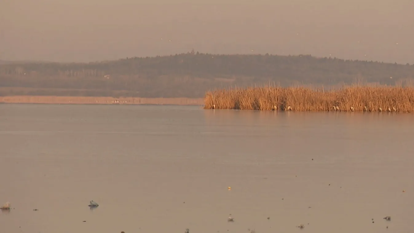Átlépte a szabályozási szintet a Balaton + videó