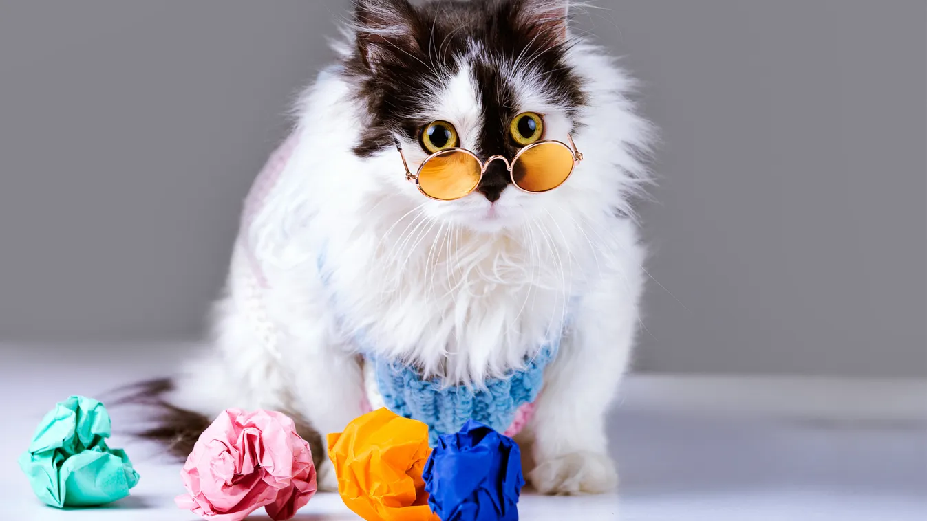 Mutatjuk, hogy miért nem kapott állami támogatást a Futni mentem + videó