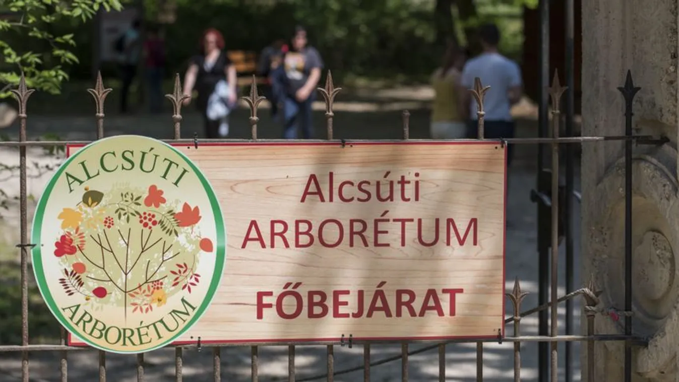 Vál-völgyi Zsúr Alcsúton június első hétvégéjén