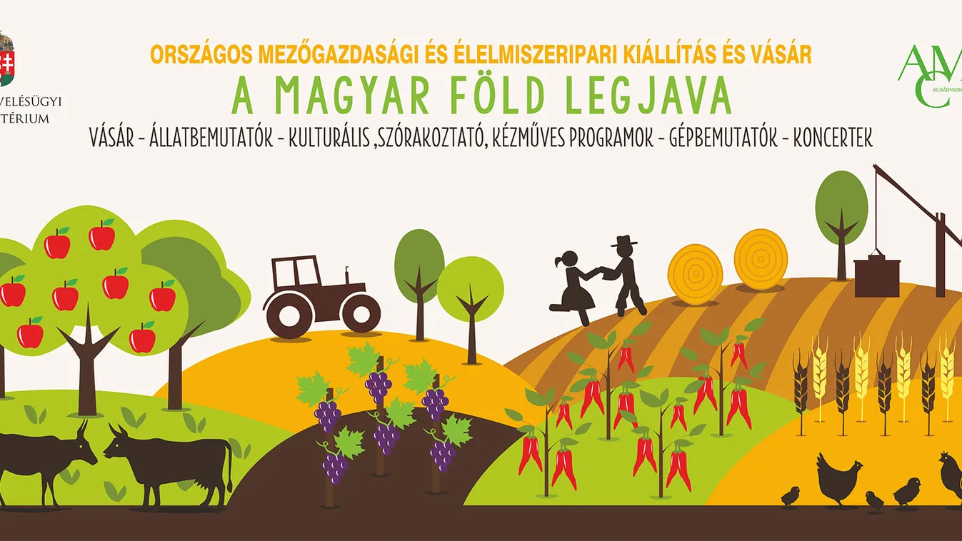 OMÉK – csak a lényeg hiányzik