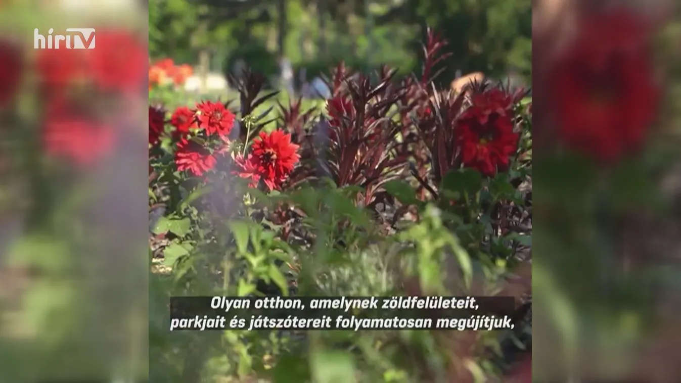 Láng Zsolt: Egy biztonságos Budapest építése a cél