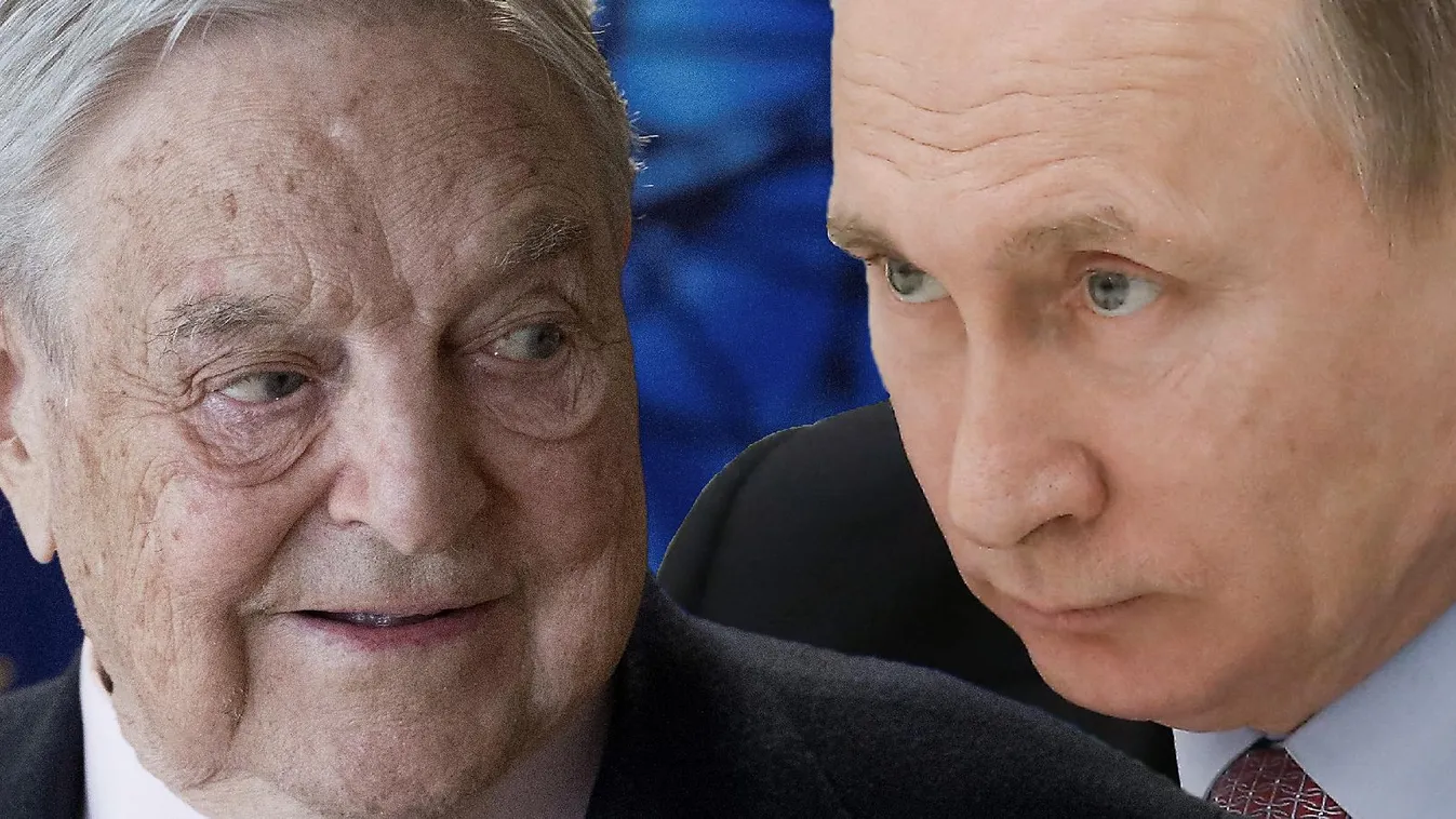 Hülyeségek háborúja