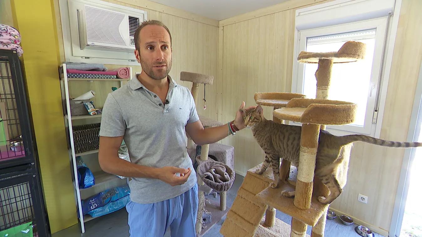 Radar: Panzióban nyaralnak a házi kedvencek