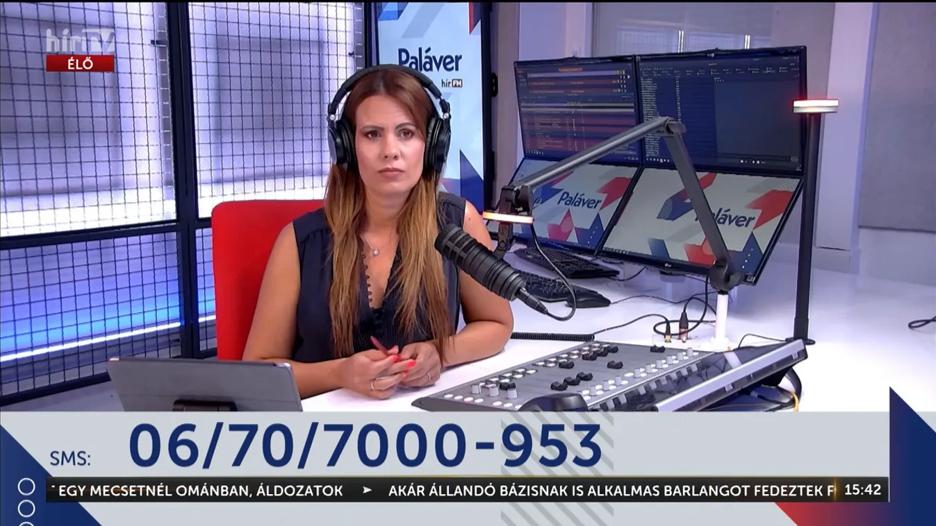 Paláver: A Fidelitason keresztül akarta magát népszerűsíteni Magyar Péter + videó