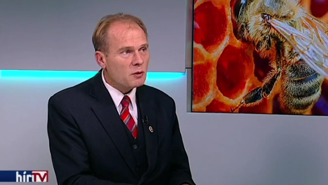 A kínai műméz szabadon mozoghat