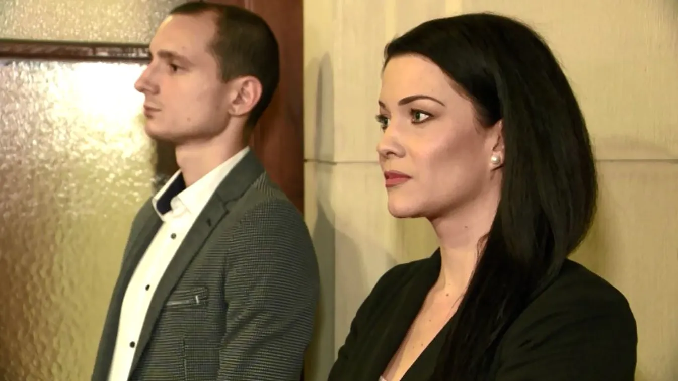 Társelnök és EP-képviselő is lenne egyszerre Demeter Márta