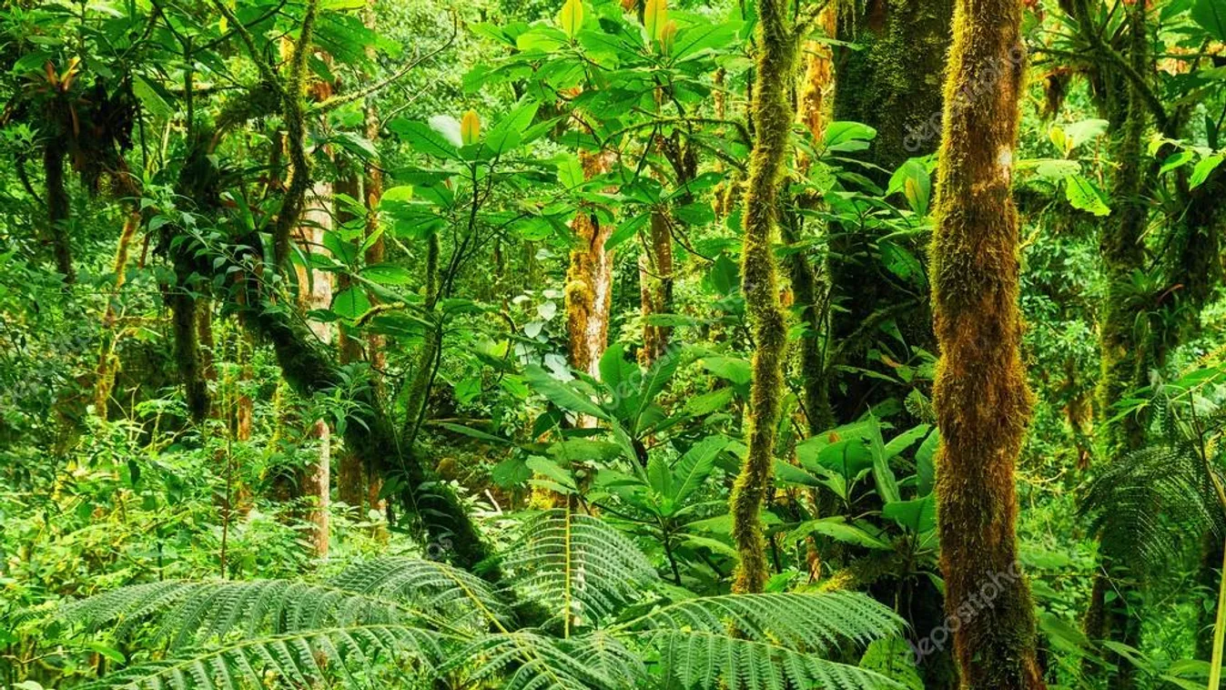 Kertekké alakítanak egy bezárt ausztrál bányát az angliai Eden project mintájára