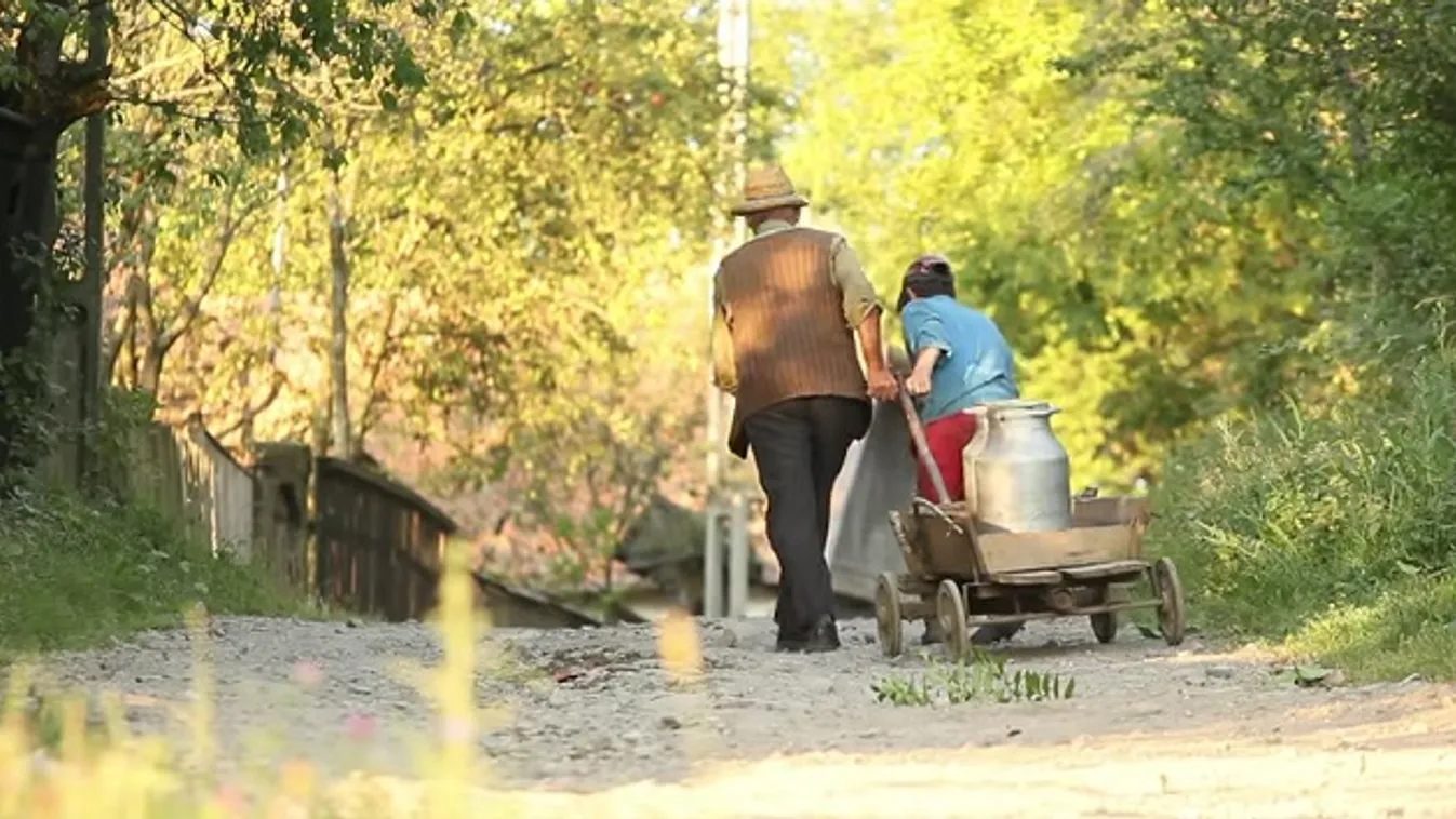 A Firtos falvai (ismétlés) – Vetítő