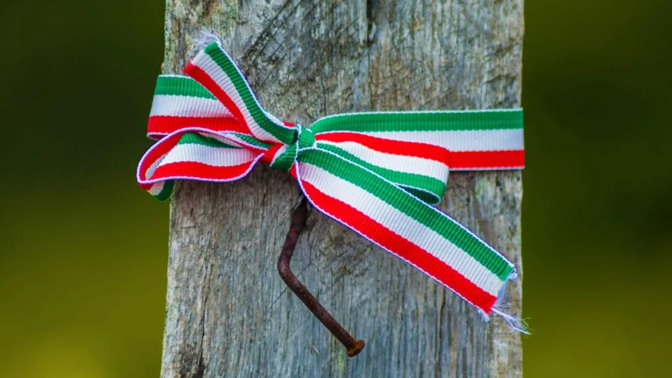 Orbán Viktor egy Wass Albert-verssel üzent