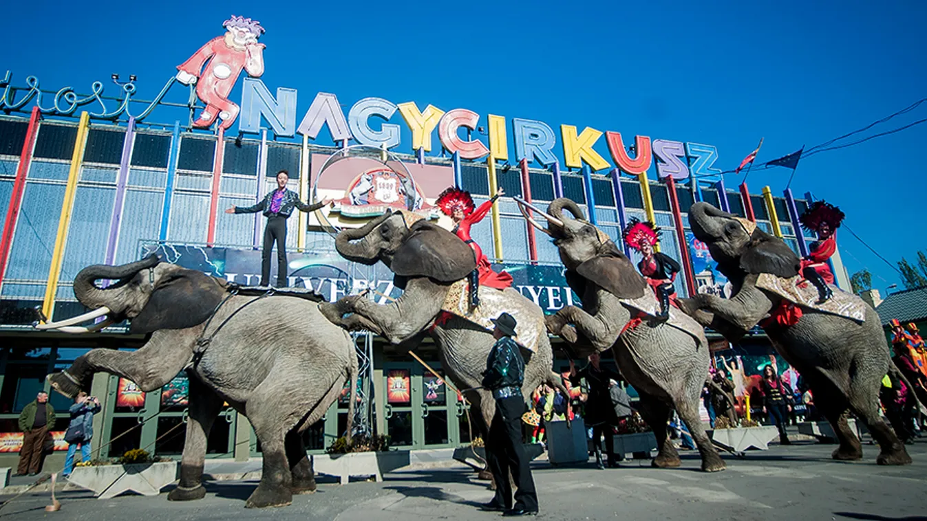 Egy bűvész lehet az új kulturális államtitkár