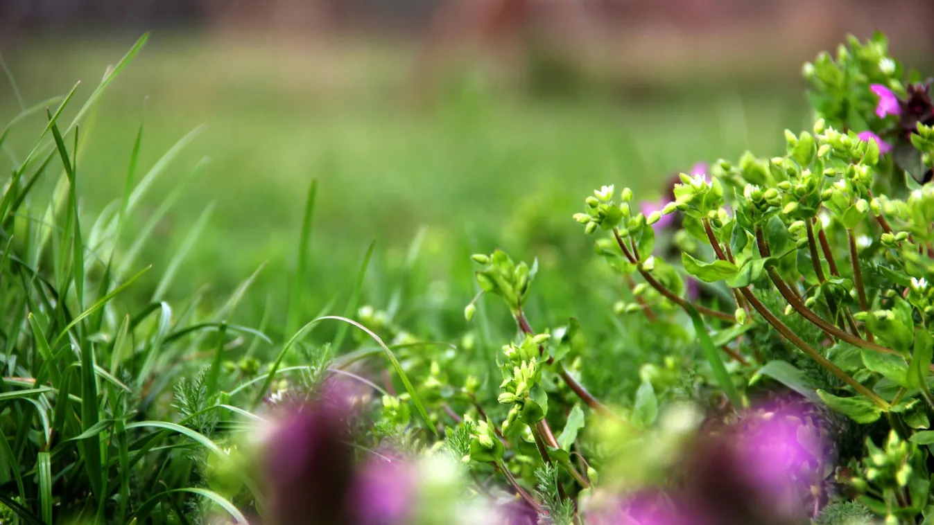 Szerdától ismét változékonyra fordul az időjárás
