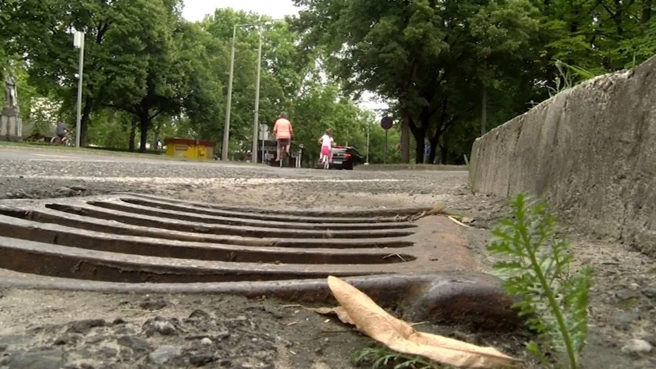 Pénzt szedne az önkormányzat az esővíz után