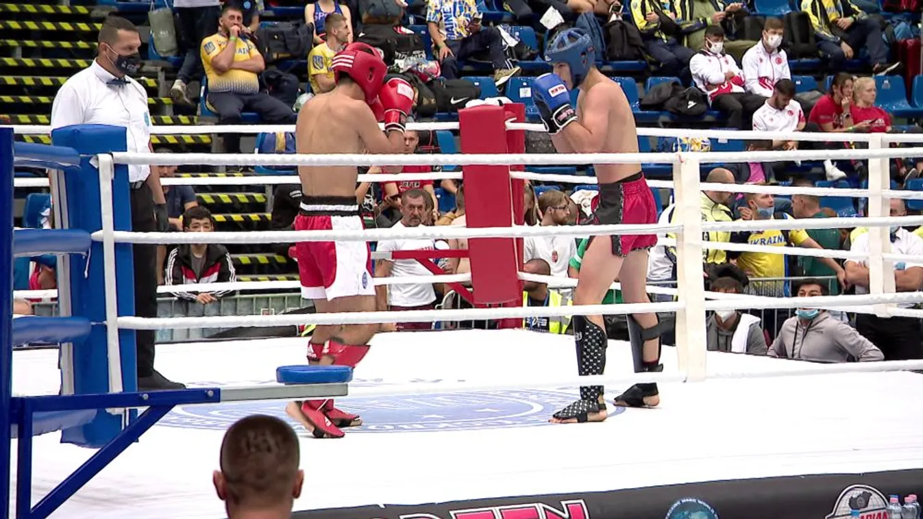 Magyar elnöke lett az Európai Kick-box Szövetségnek