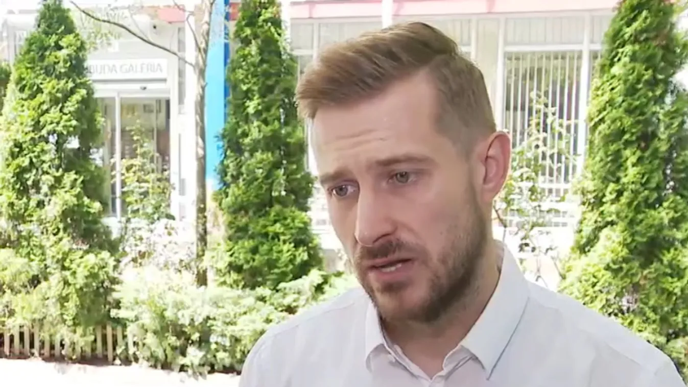 A fegyelmi tanács szerint az újbudai óvoda vezetője nem vétett a pedofil ügyben + videó