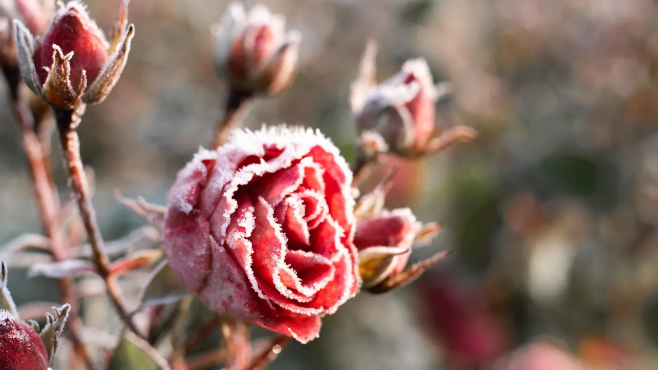 Október 3-án ilyen hidegre még nem ébredtek Zabarban