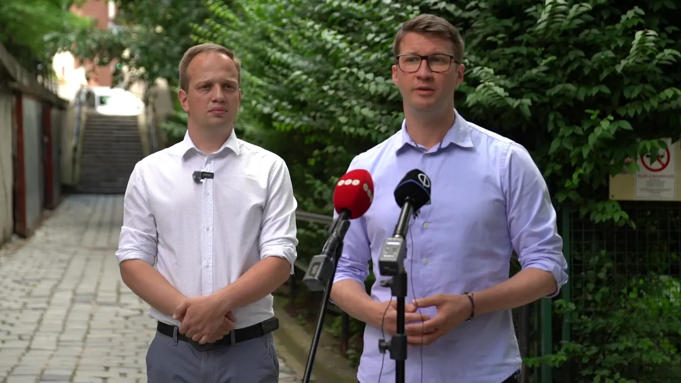 Közrendvédelmi hiányosságok pótlására szólították fel V. Naszályi Mártát + videó