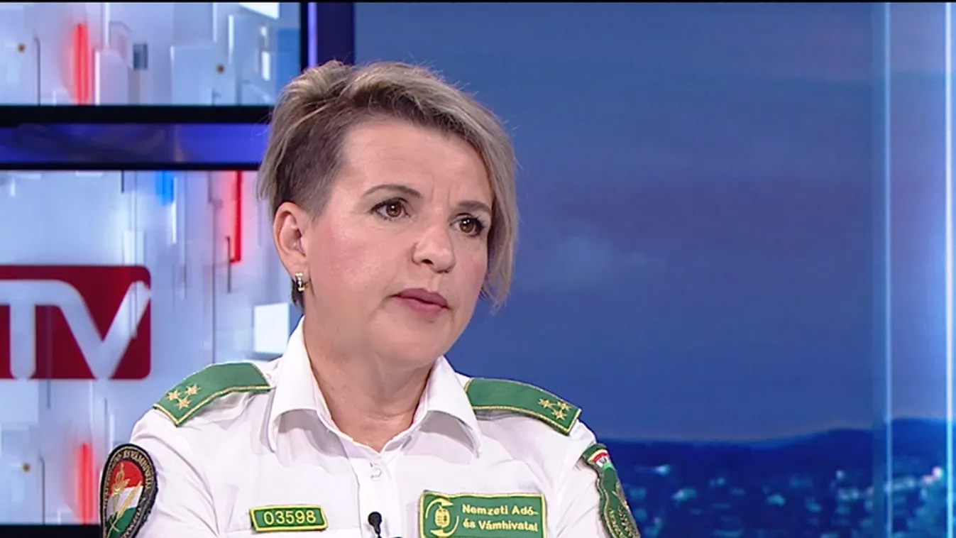 Napindító - Néhány hetes kölyökkutyákat találtak egy román furgonba pakolt csomagok között + videó