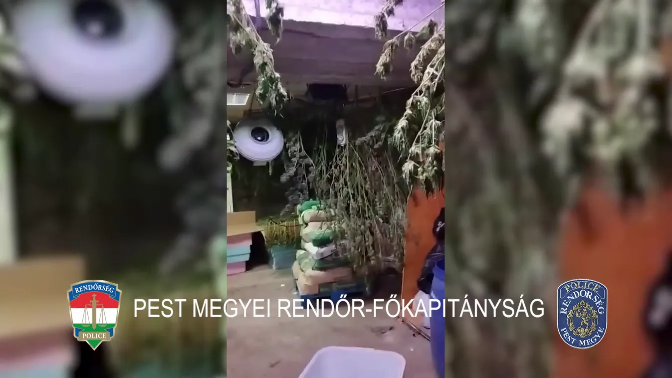 Robbanóanyag és kábítószer került elő egy dömsödi házkutatás során