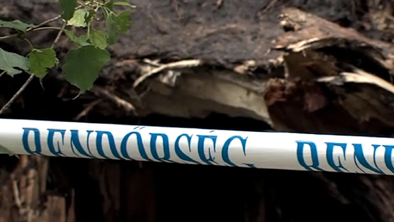 Kidőlt fa okozott szörnyű tragédiát