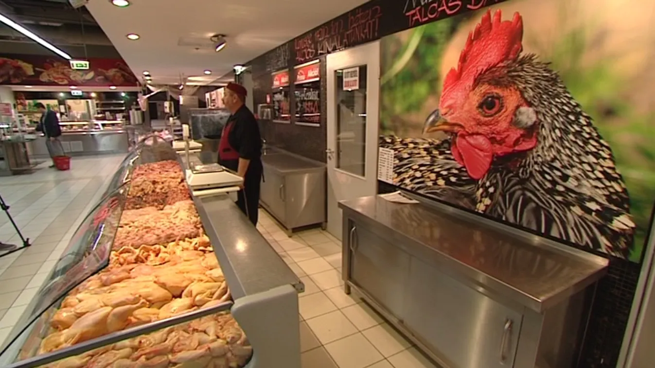 Unió-szerte hasznosíthatók a magyar eredmények