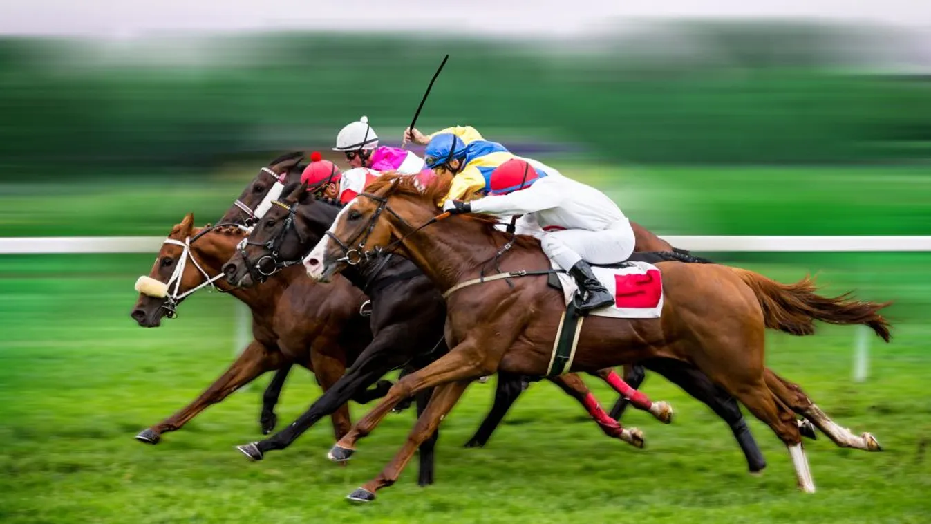 Mozaik - Galopp szezonnyitó a Kincsem Parkban