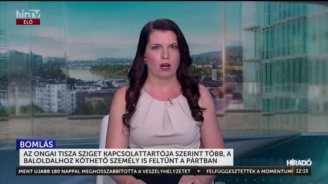 AZ ONGAI TISZA SZIGET TAPCSOLATTARTÓJA SZERINT TÖBB, A BALOLDALHOZ KÖTHETŐ SZEMÉLY IS FELTŰNT A PÁRTBAN