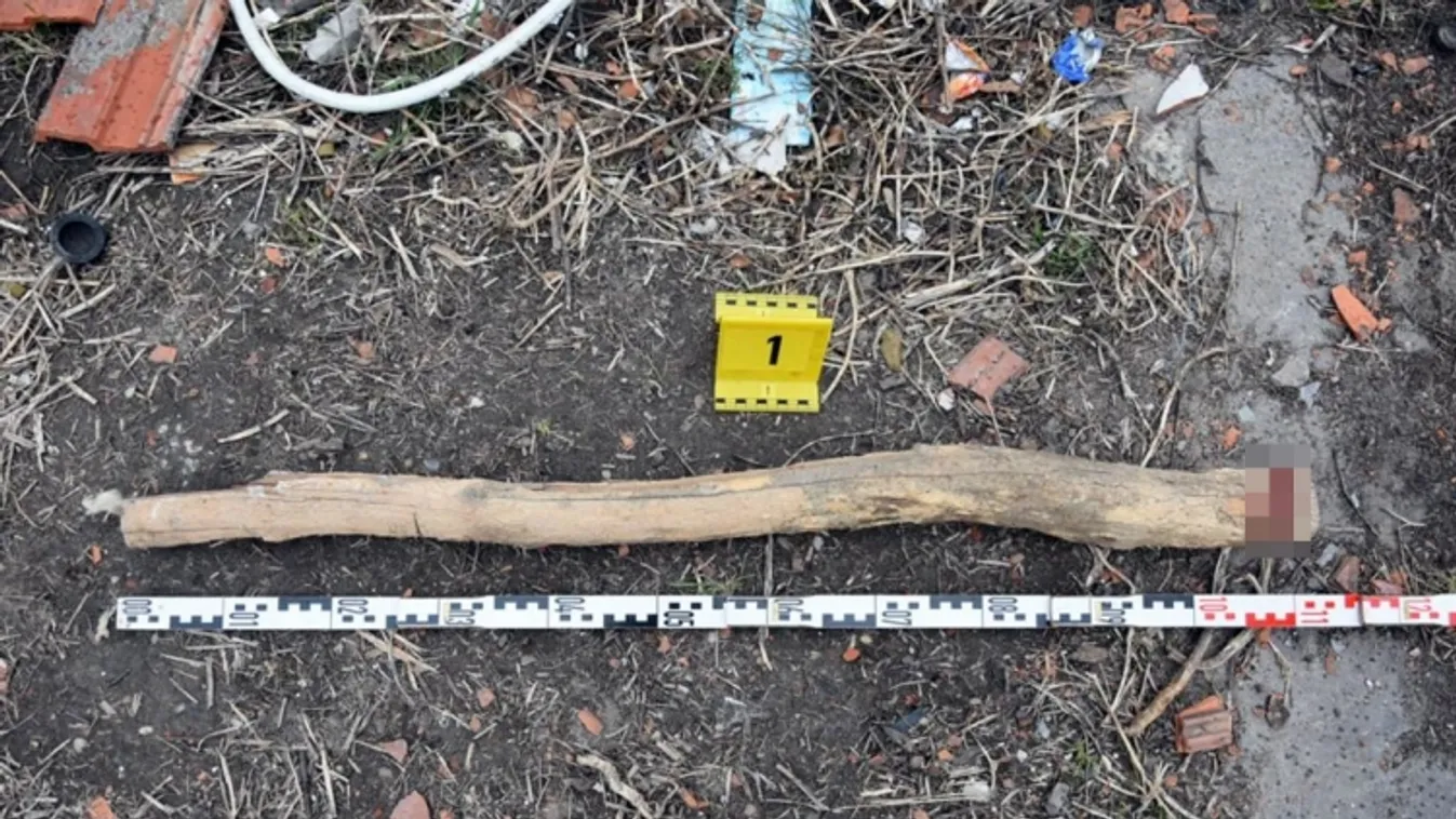 Karóval ütött agyon egy kutyát