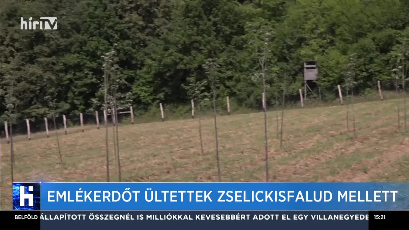 Emlékerdőt ültettek Zselickisfalud mellett