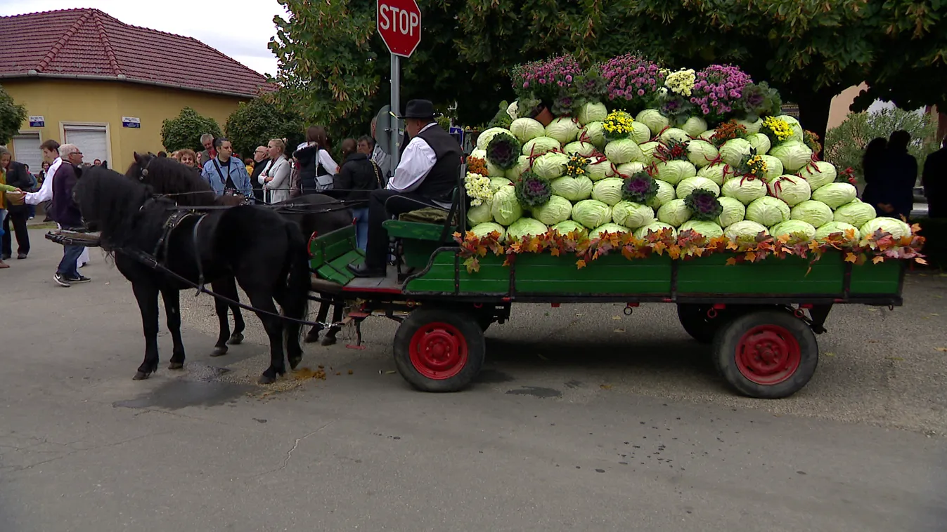Radar - XX. Vecsési Káposztafesztivál
