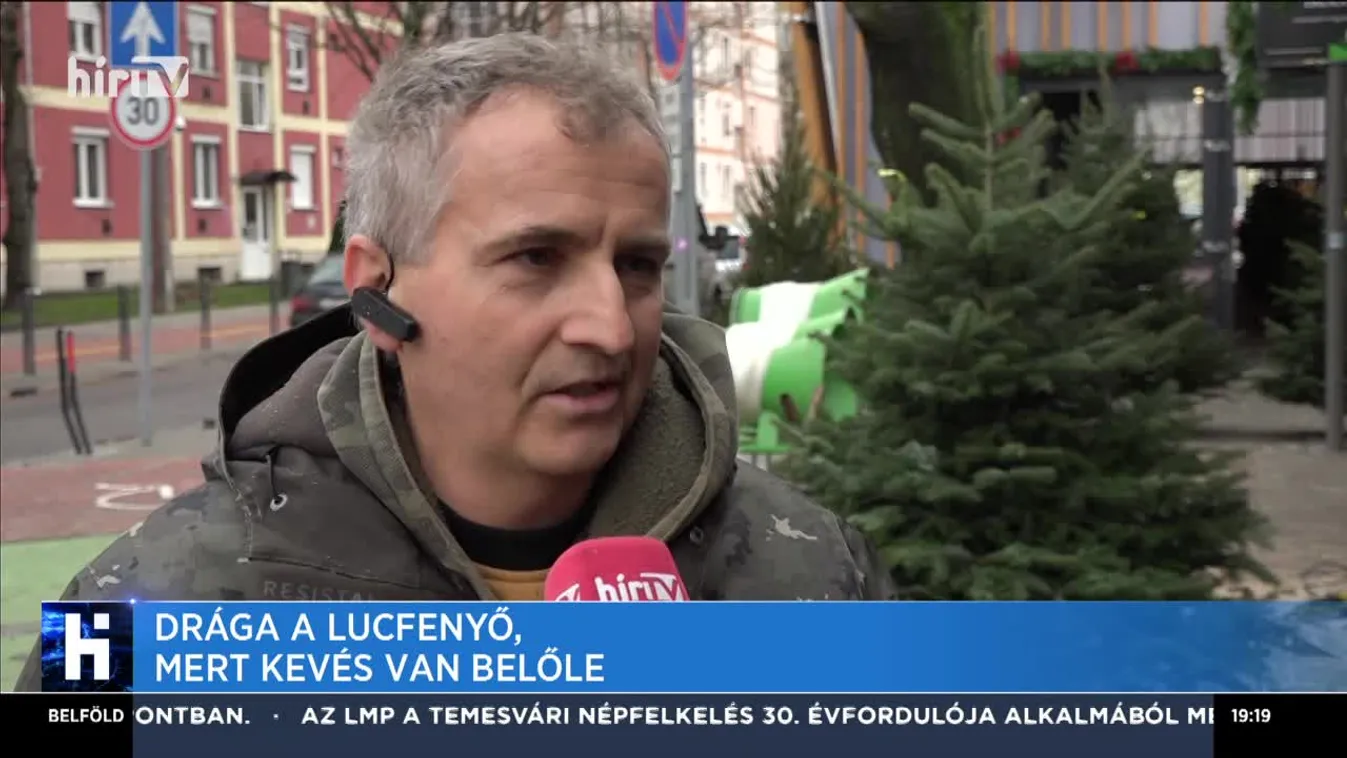 Drága a lucfenyő, mert kevés van belőle