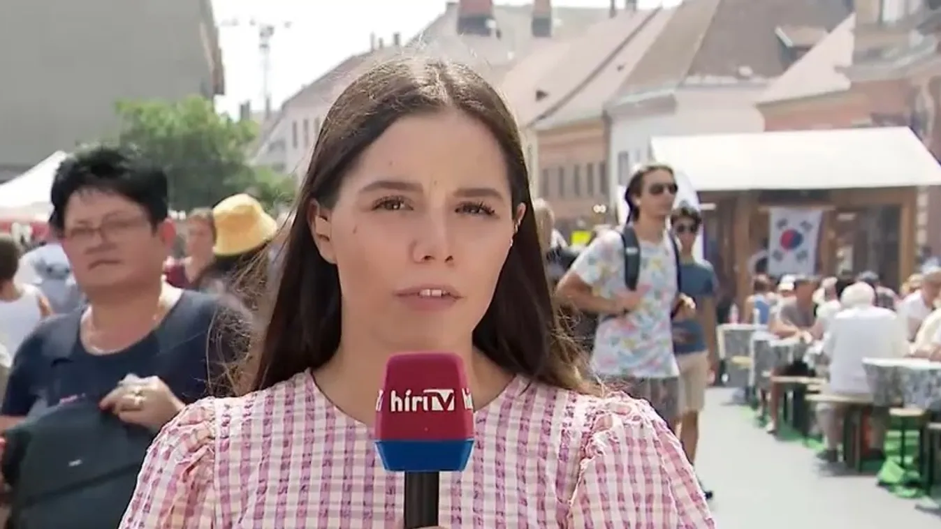 Mesterségek Ünnepe a budai várban + videó