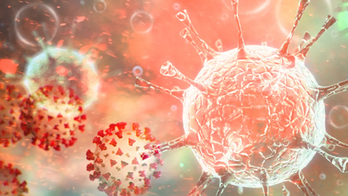 Terjed a kór Latin-Amerikában, csaknem 80 ezer fertőzöttről tudni a térségben