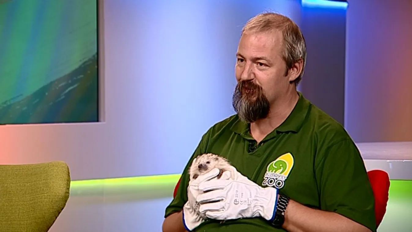 Oktatóprogramok és Sünispotály a fővárosi állatkertben