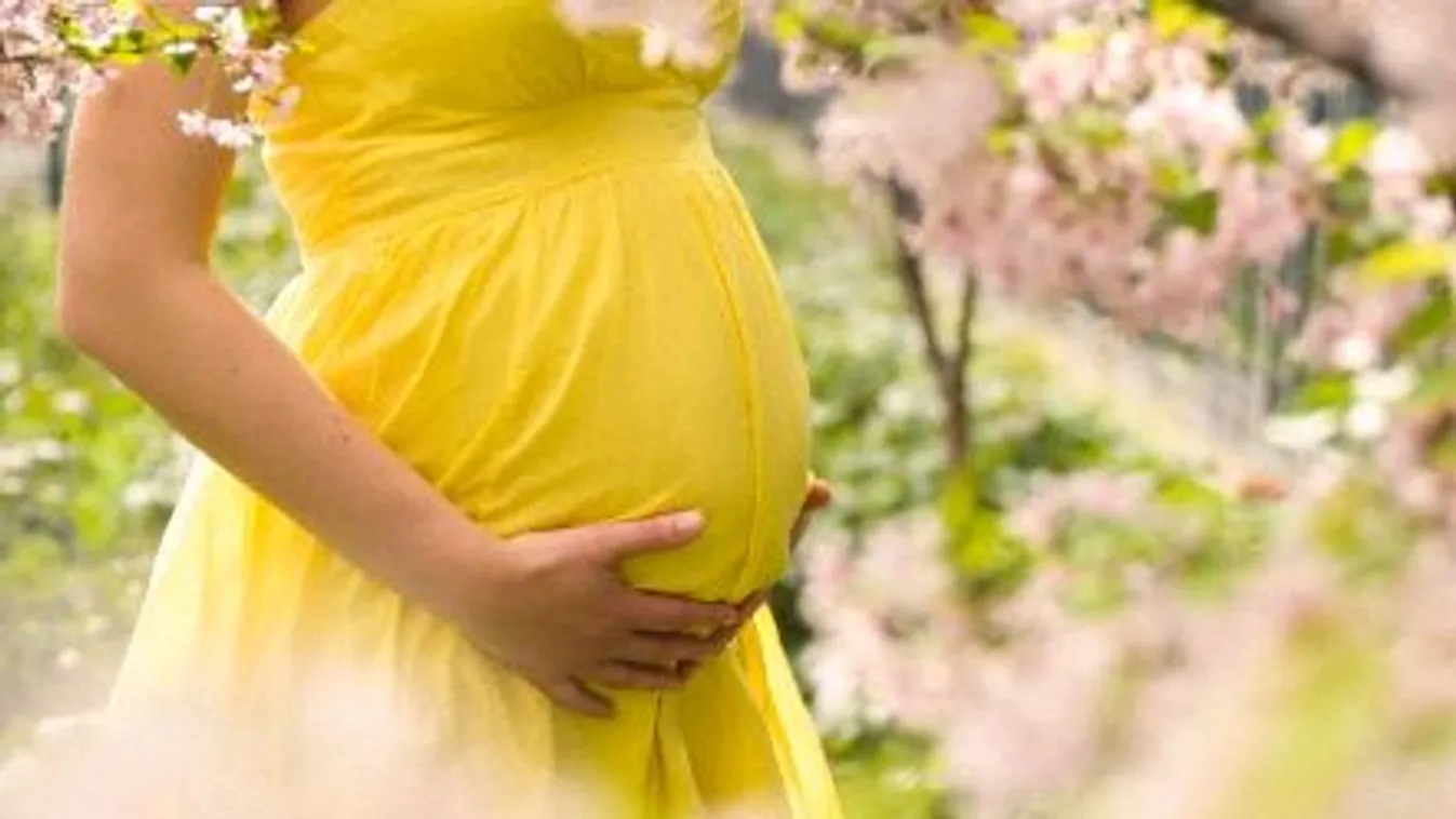 Külön oltópontot alakít ki a várandós nőknek a Semmelweis Egyetem