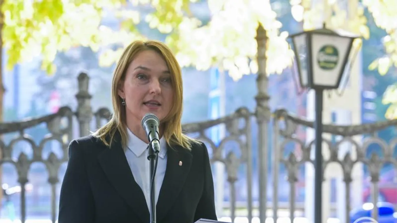 Novák Irén: új zenés színház alakul Magyarországon