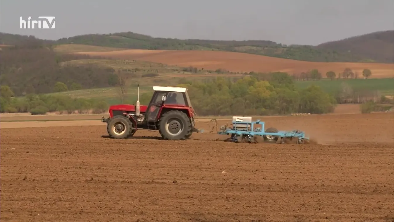 Soroló: Élelmiszerbiztonsági kérdés a magas genetikai donorállatok szaporítása