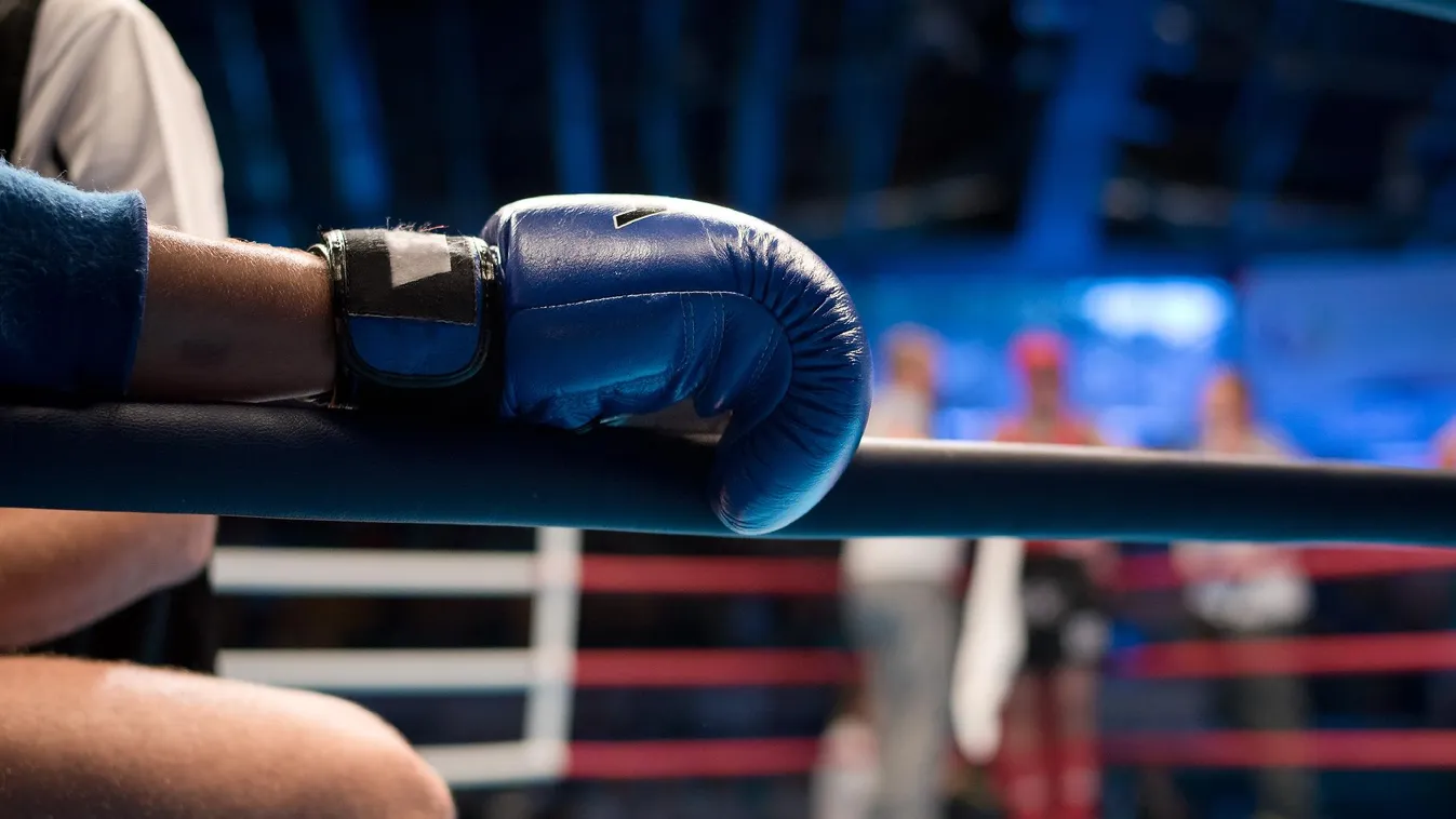 Újraválasztották a muaythai szövetség elnökségét