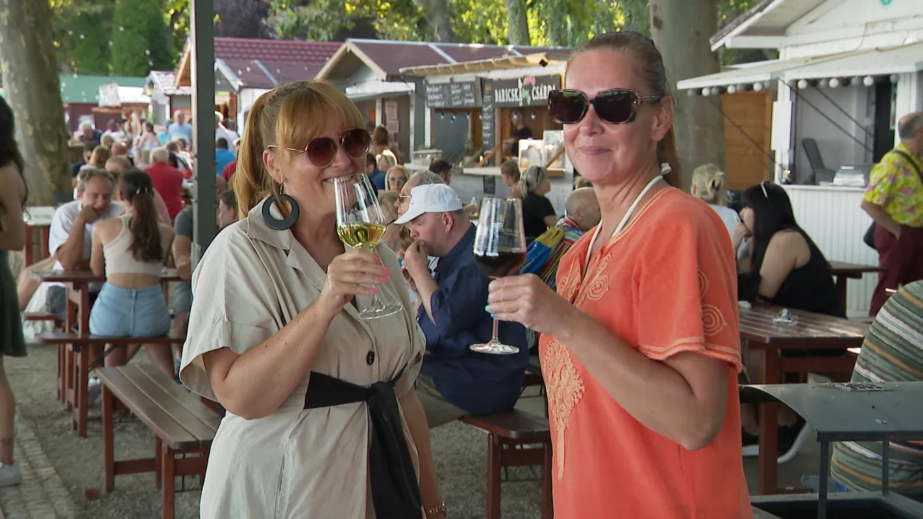 Radar – Iszik vagy vezet?