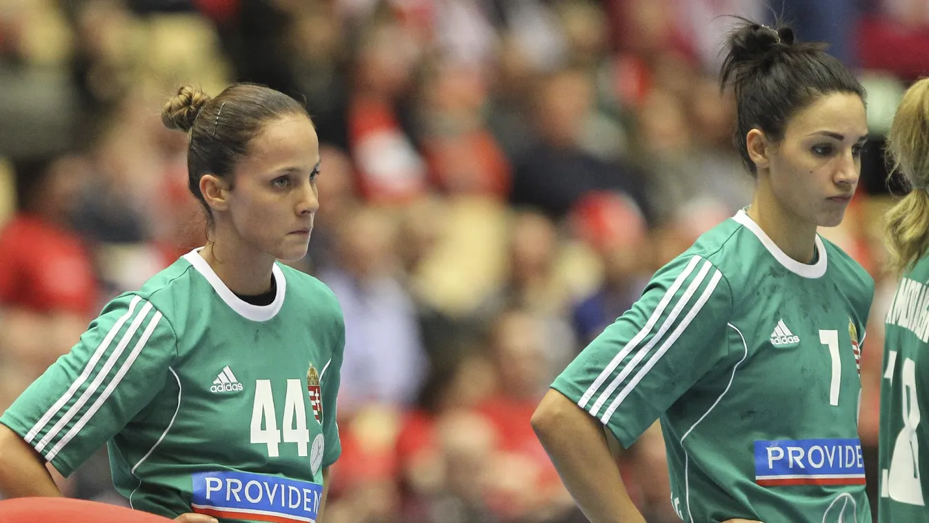 Magyarország nem rendezhet vb-t