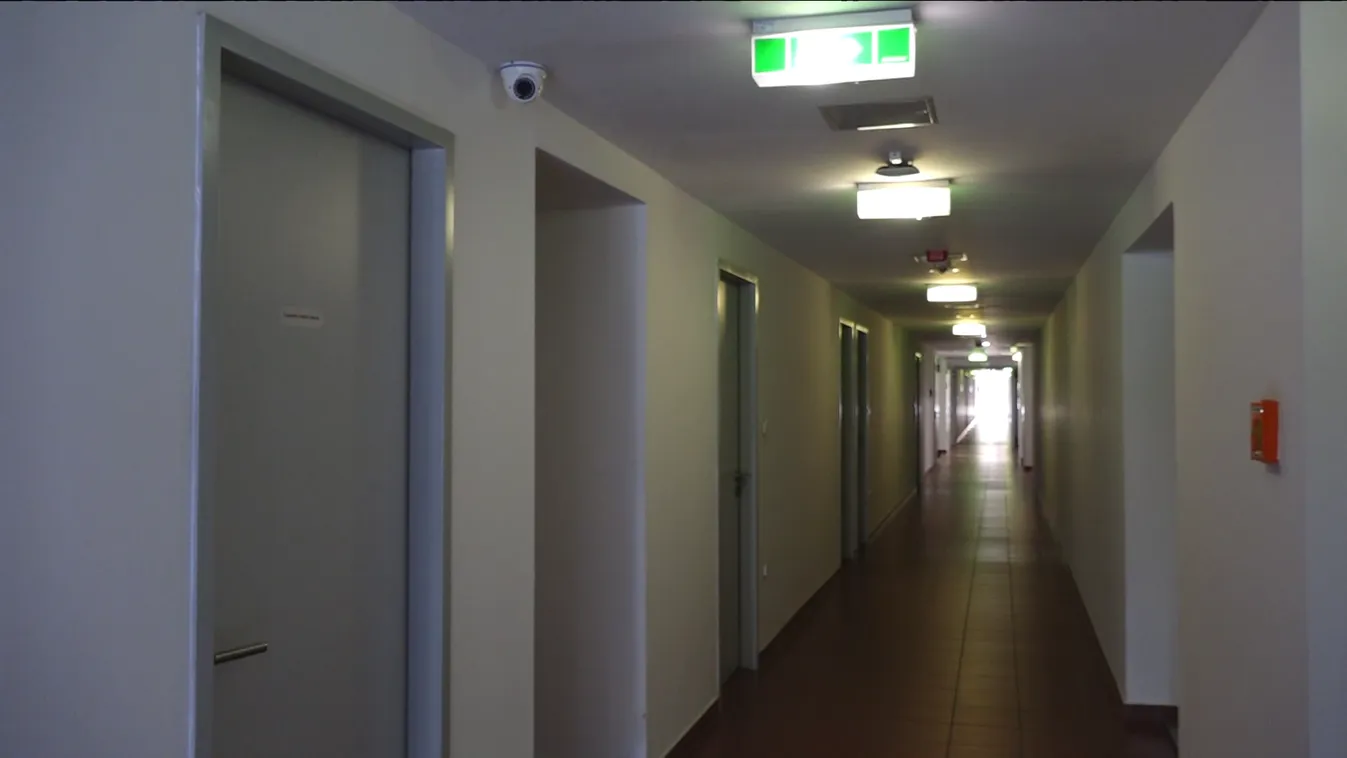 Megkezdődött az egyetemisták rohama az albérletekért Pécsett