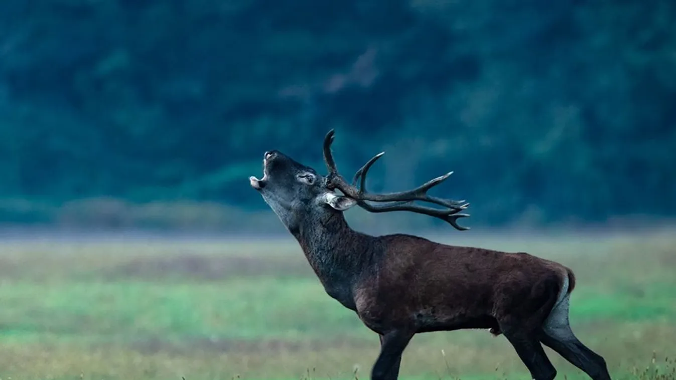 Kovács Zoltán: A munka nem áll meg!