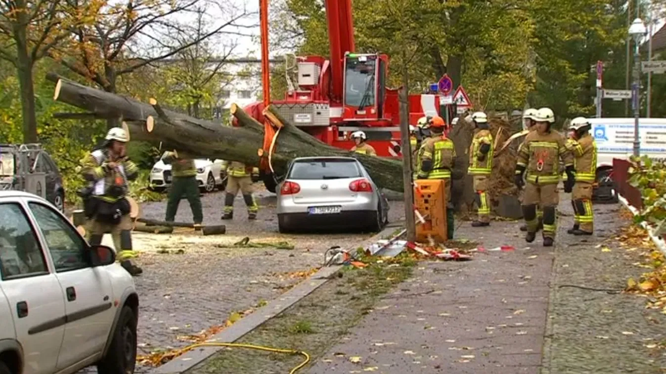 Kidőlt fák, megbontott tetők, több halott
