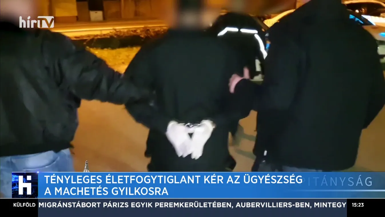 Tényleges életfogytiglant kér az ügyészség a machetés gyilkosra