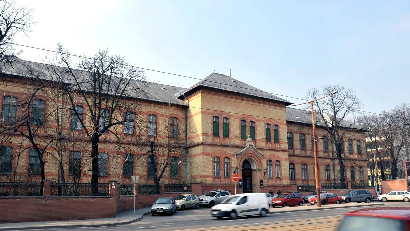 A Margit-kórház tagadja, hogy lenne rühes betege