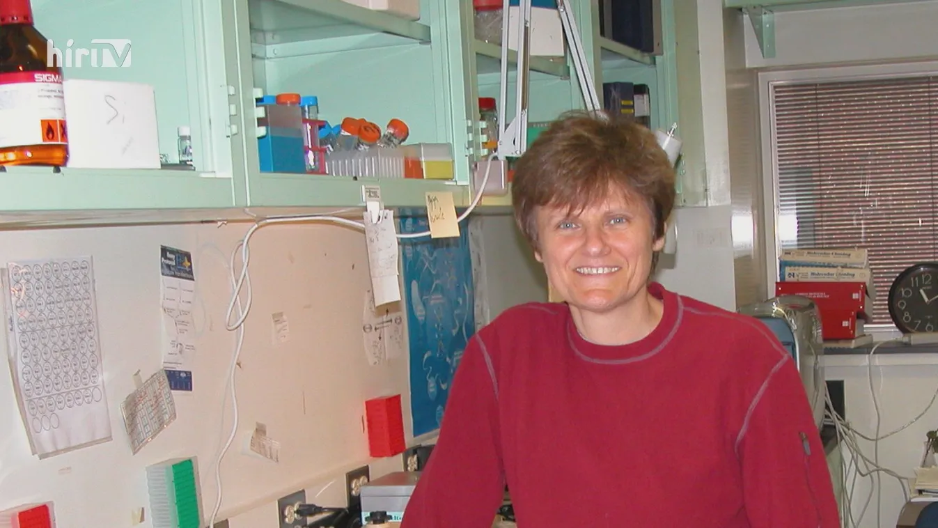 Karikó Katalin Bolyai-díjat kap