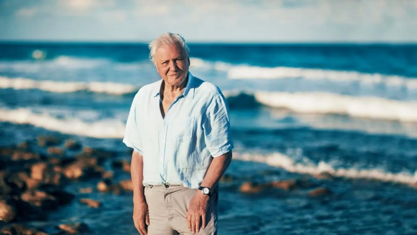 David Attenborough-ról nevezték el a legkorábbi ragadozót