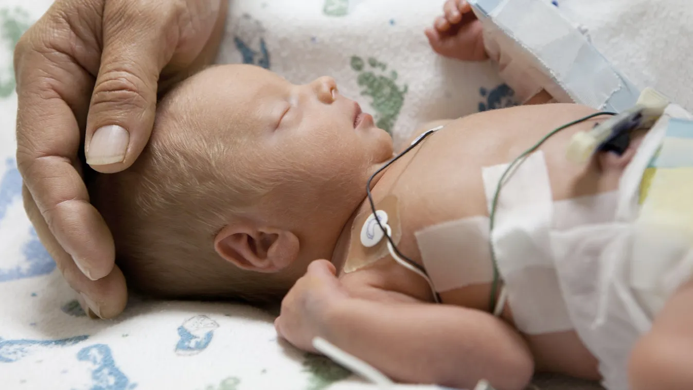 Hajnal Szilvia lett a neve az újév gyermekének