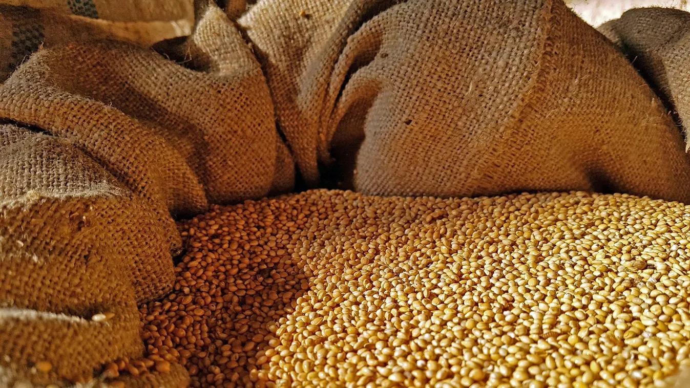 EB: megállapodás jött létre az ukrán gabona behozatalával kapcsolatban